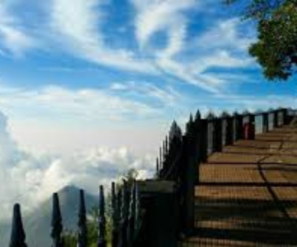 images (1)